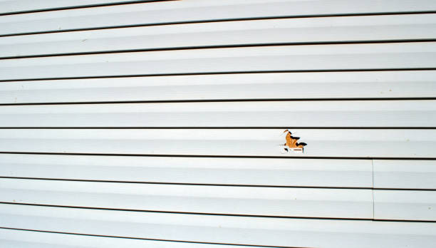 Trusted Boiling Springs, NC Siding Installation & Repair Experts